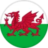 Logo Wales U19