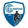 Logo Wiener Neustädter SC