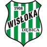 Logo Wisłoka Dębica