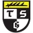 Logo TSG Balingen