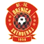 Logo KF Drenica