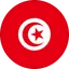 Logo Đội tuyển Tunisia