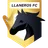 Logo Llaneros FC