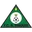 Logo FC Bravos do Maquis