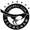 Logo Seongnam FC