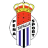 Logo Peña Sport FC