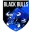 Logo Associação Black Bulls