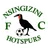 Logo Nsingizini Hotspur