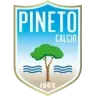 Logo Pineto