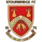 Logo Stourbridge