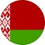 Logo Đội tuyển Belarus