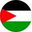 Logo Đội tuyển Palestine