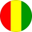 Logo Đội tuyển Guinea