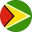 Logo Guyana