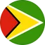 Logo Đội tuyển Guyana