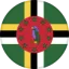 Logo Đội tuyển Dominica