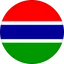Logo Đội tuyển Gambia