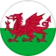 Logo Đội tuyển Wales