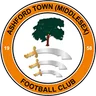 Logo Ashford Town Middlesex