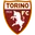 Logo Torino