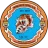 Logo Medina United FC