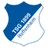 Logo TSG Hoffenheim