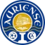 Logo Auriense Cented Academy
