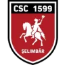 Logo CSC 1599 Șelimbăr
