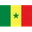 Logo Senegal