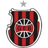 Logo Brasil DE Pelotas