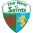 Logo The New Saints