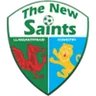 Logo The New Saints