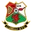 Logo llanelli AFC