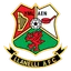 Logo llanelli AFC