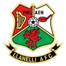 Logo llanelli AFC