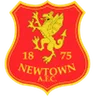 Logo Newtown AFC