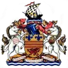 Logo Barry Town