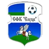 Logo FC Slutsk