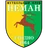 Logo Neman