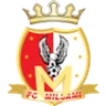 Logo Milsami Orhei