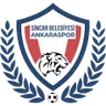 Logo Ankaraspor