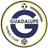 Logo Guadalupe FC