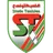 Logo Stade Tunisien