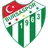 Logo Bursaspor