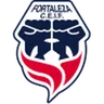 Logo Fortaleza FC