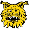 Logo Ilves