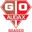 Logo Gremio Osasco Audax