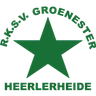 Logo Groene Ster