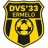 Logo DVS 33 Ermelo