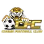 Logo Cooma Tigers FC
